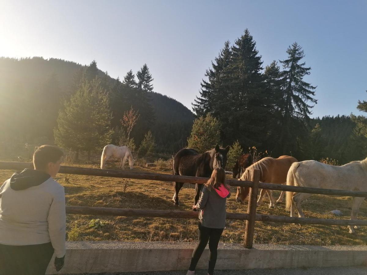 Forest Home 524 سموليان المظهر الخارجي الصورة
