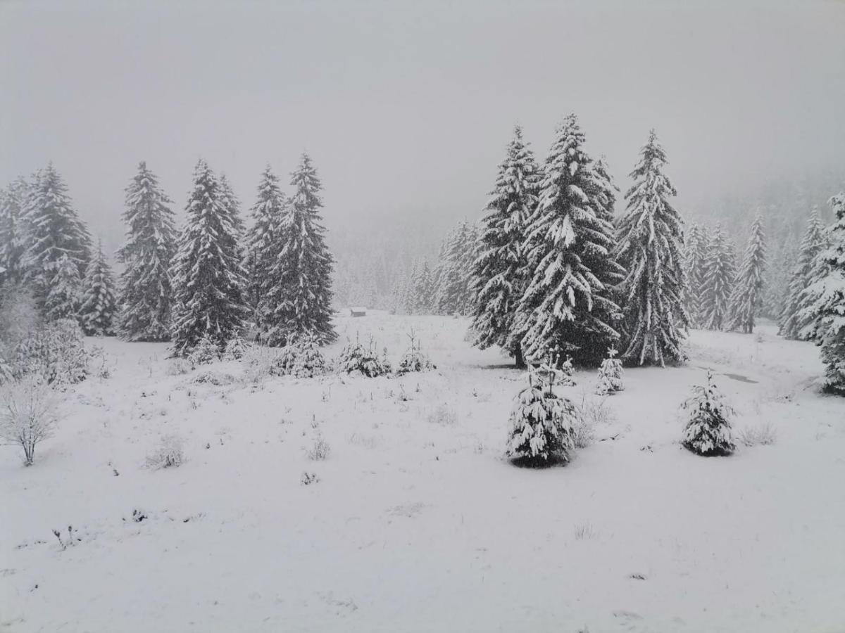 Forest Home 524 سموليان المظهر الخارجي الصورة