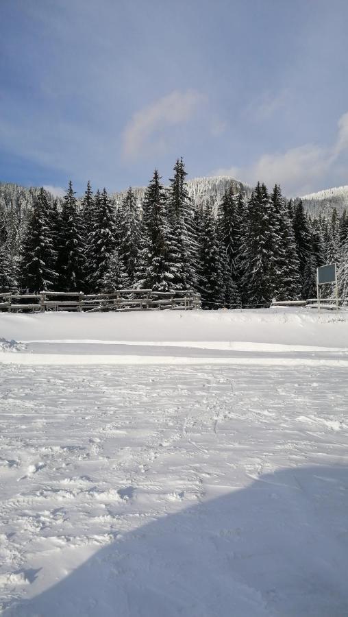 Forest Home 524 سموليان المظهر الخارجي الصورة